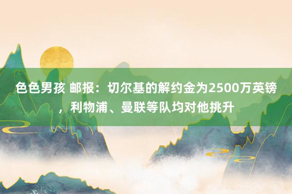 色色男孩 邮报：切尔基的解约金为2500万英镑，利物浦、曼联等队均对他挑升
