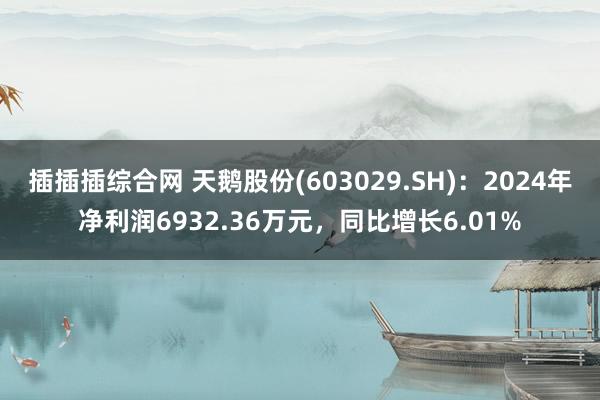 插插插综合网 天鹅股份(603029.SH)：2024年净利润6932.36万元，同比增长6.01%