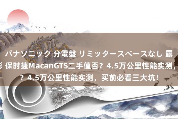 パナソニック 分電盤 リミッタースペースなし 露出・半埋込両用形 保时捷MacanGTS二手值否？4.5万公里性能实测，买前必看三大坑！