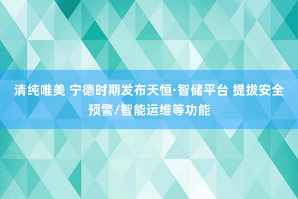 清纯唯美 宁德时期发布天恒·智储平台 提拔安全预警/智能运维等功能