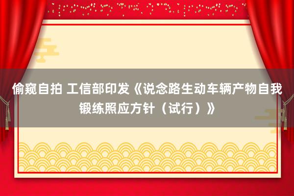 偷窥自拍 工信部印发《说念路生动车辆产物自我锻练照应方针（试行）》