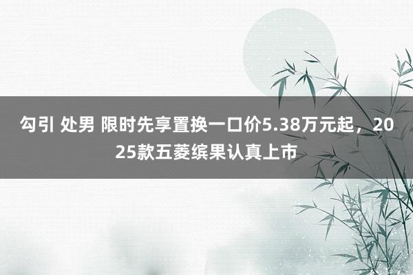 勾引 处男 限时先享置换一口价5.38万元起，2025款五菱缤果认真上市