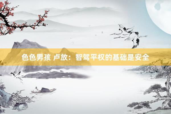 色色男孩 卢放：智驾平权的基础是安全