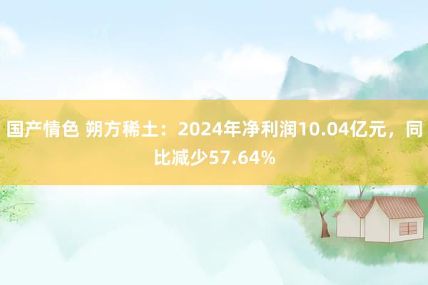 国产情色 朔方稀土：2024年净利润10.04亿元，同比减少57.64%