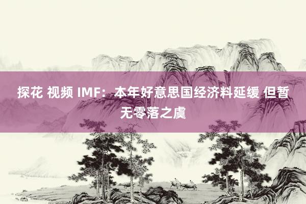 探花 视频 IMF：本年好意思国经济料延缓 但暂无零落之虞