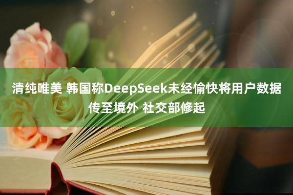 清纯唯美 韩国称DeepSeek未经愉快将用户数据传至境外 社交部修起