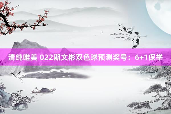 清纯唯美 022期文彬双色球预测奖号：6+1保举